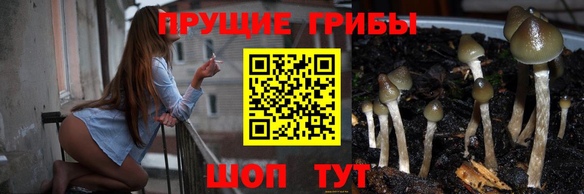 Галлюциногенные грибы мицелий  Вход с VPN  Псилоцибиновые грибы мухоморы  Михайловск 